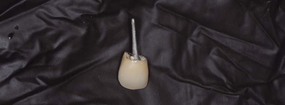 img142.jpg img142.jpg