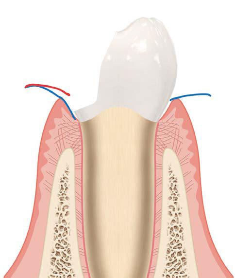 img72.jpg img72.jpg