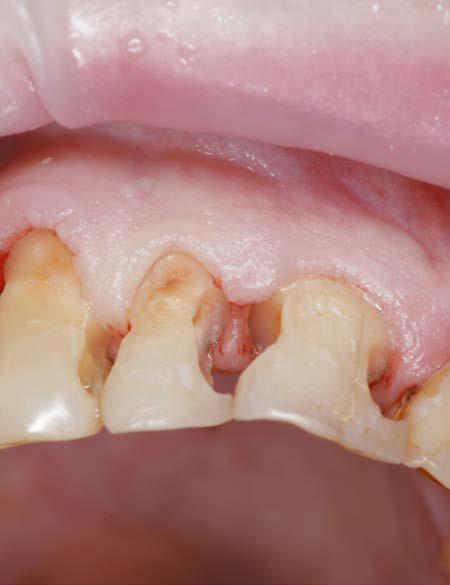 img80.jpg img80.jpg