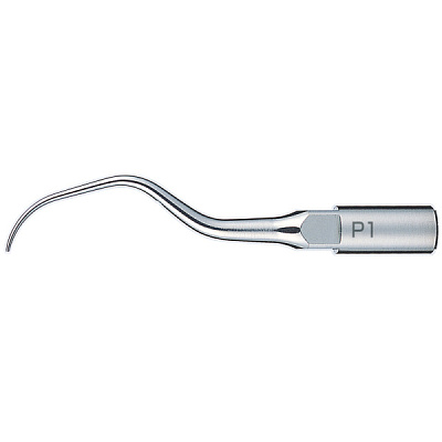 Насадка для скалера Varios - P1