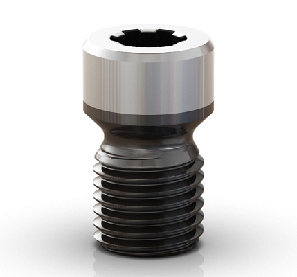 Винт Neo Abutment Coping Neotorque Screw