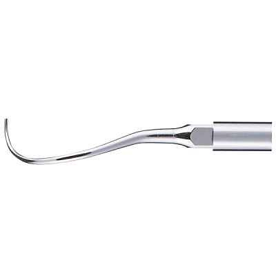 Насадка к скалеру Varios - P25L