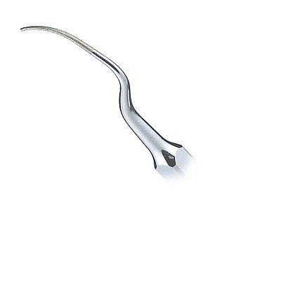 Насадка для скалера Varios - P1D 