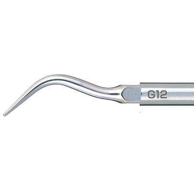 Насадка к скалеру Varios - G12