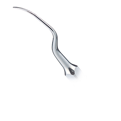 Насадка для скалера Varios - P1