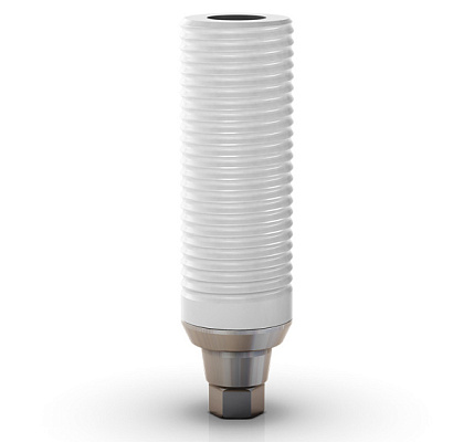 Набор для коронки для CoCr абатмента GM Exact CoCr Abutment For Crown, размер: 5.0/6.0 мм